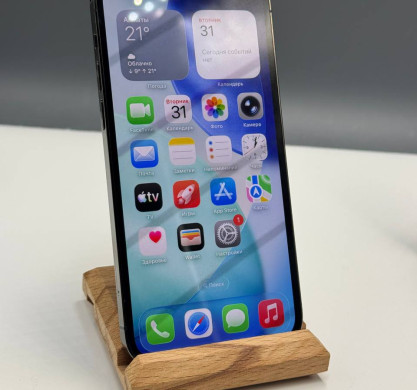 iPhone 12 Pro 256GB Graphite 100%